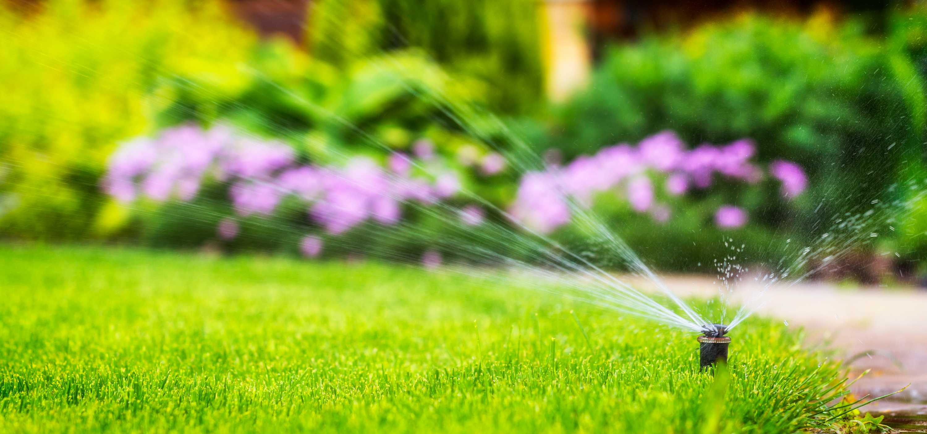 Vanning hagen sprinkler automatisk